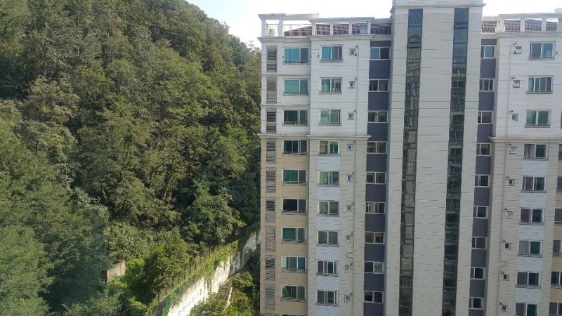 Eungam-dong Apartment For Rent