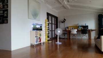 Dogok-dong Apartment For Rent